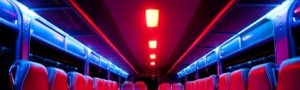 Willbee – Party Bus