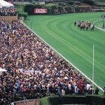 Melbourne Cup Party Bus - Transport/Transfer